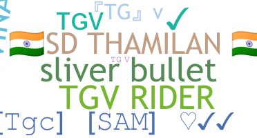별명 - TGV
