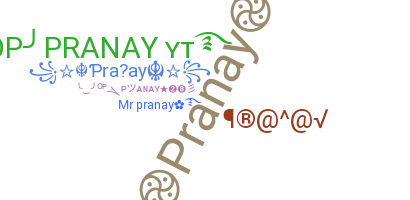 별명 - Pranay
