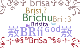 별명 - Brisa