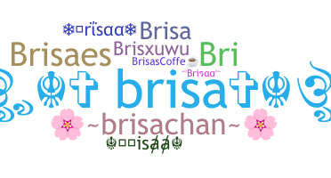 별명 - Brisaa