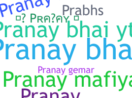 별명 - Pranaybhai