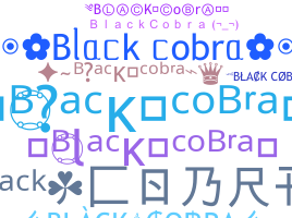 별명 - BlackCobra