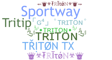 별명 - Triton