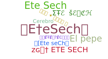 별명 - Etesech
