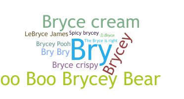 별명 - Bryce