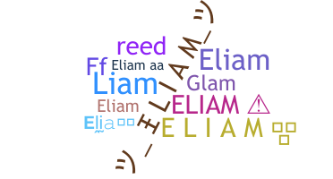 별명 - Eliam