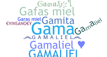 별명 - Gamaliel