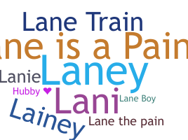 별명 - Lane