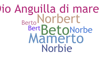 별명 - Norberto