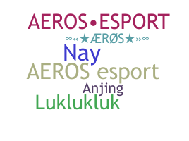 별명 - Aeros