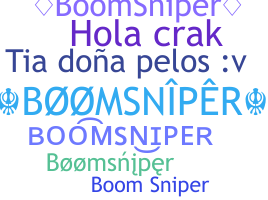 별명 - BoomSniper