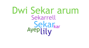 별명 - Sekar