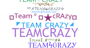 별명 - TeamCrazy