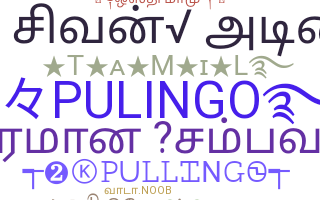 별명 - Pulingo