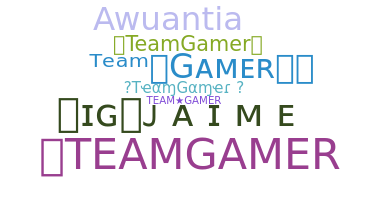 별명 - TeamGamer