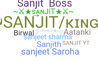 별명 - Sanjit