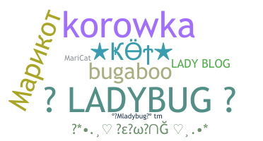 별명 - Ladybug