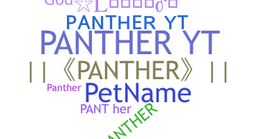 별명 - PantherYT