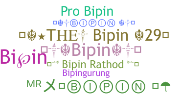 별명 - Bipin