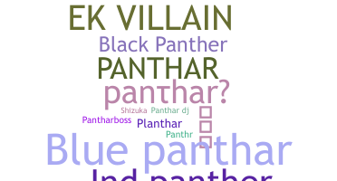 별명 - panthar