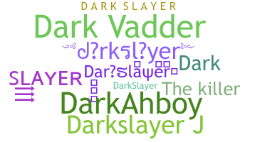 별명 - darkslayer