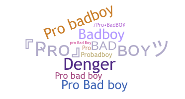 별명 - ProBadboy