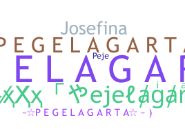별명 - Pejelagarto