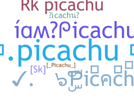 별명 - Picachu