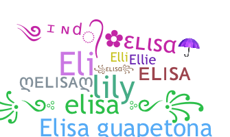 별명 - Elisa