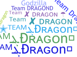 별명 - TeamDragon
