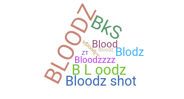 별명 - bloodz