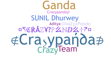 별명 - CrazyPanda