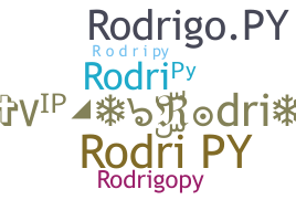 별명 - Rodripy
