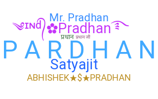 별명 - Pradhan