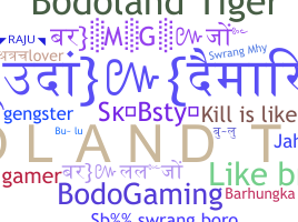 별명 - Bodoland