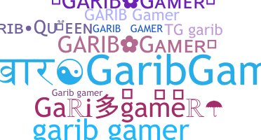 별명 - Garibgamer