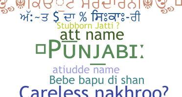 별명 - Punjabi