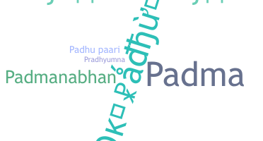 별명 - Padhu