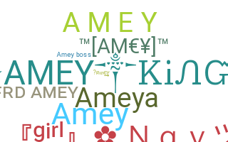 별명 - AmeY