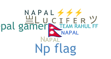 별명 - Napal