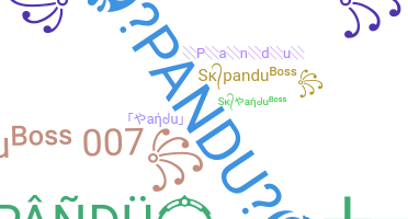 별명 - Pandu