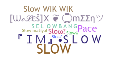별명 - slow