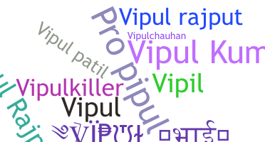 별명 - Vipulbhai