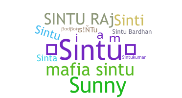 별명 - sintu
