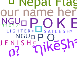 별명 - Nepalflag