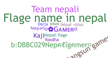 별명 - Nepaligamer