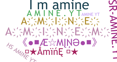 별명 - Amine