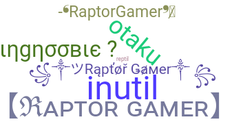 별명 - Raptorgamer