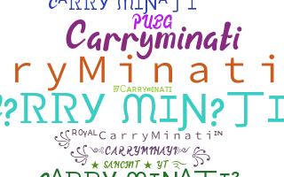 별명 - CarryMinati