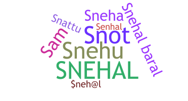 별명 - Snehal